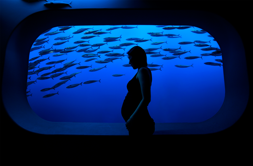 bel-fish-swimming-sm