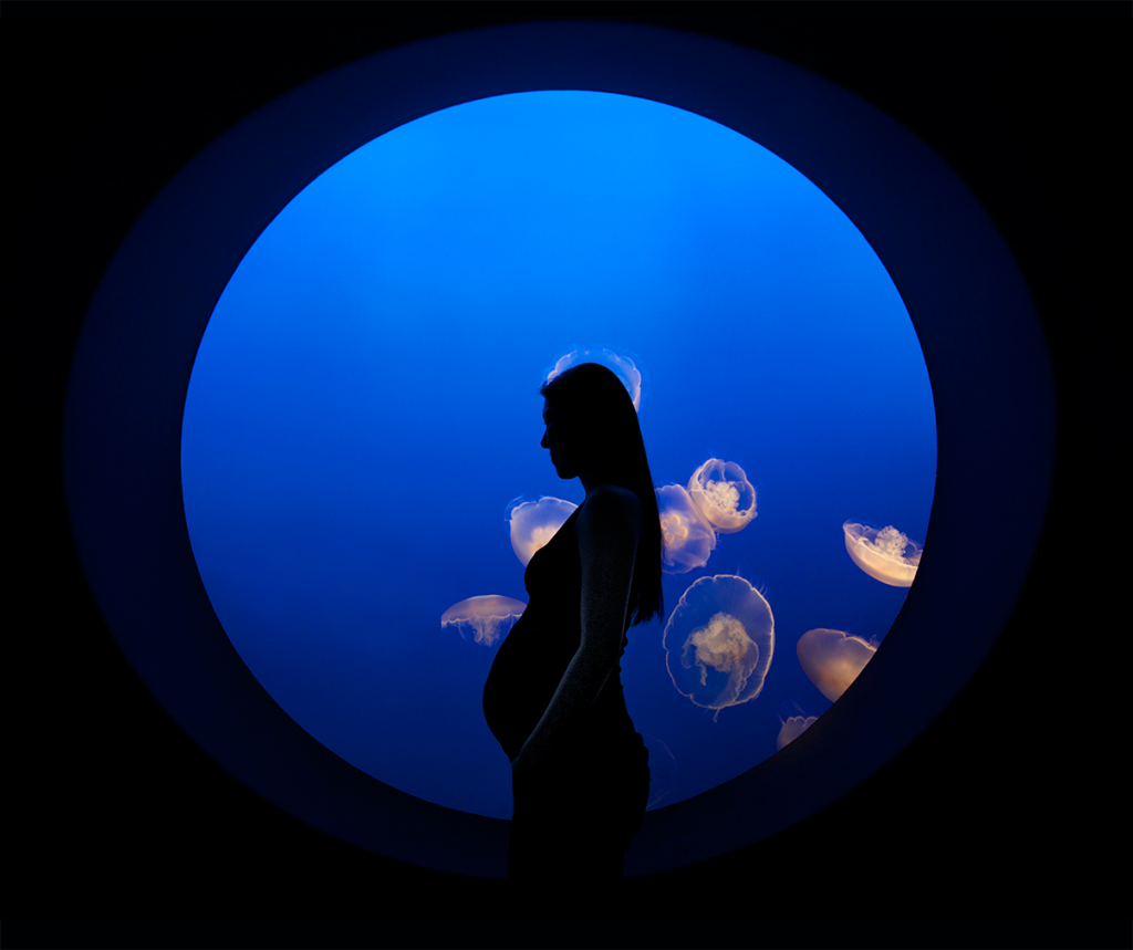 bel-jellyfish-monterey-sm