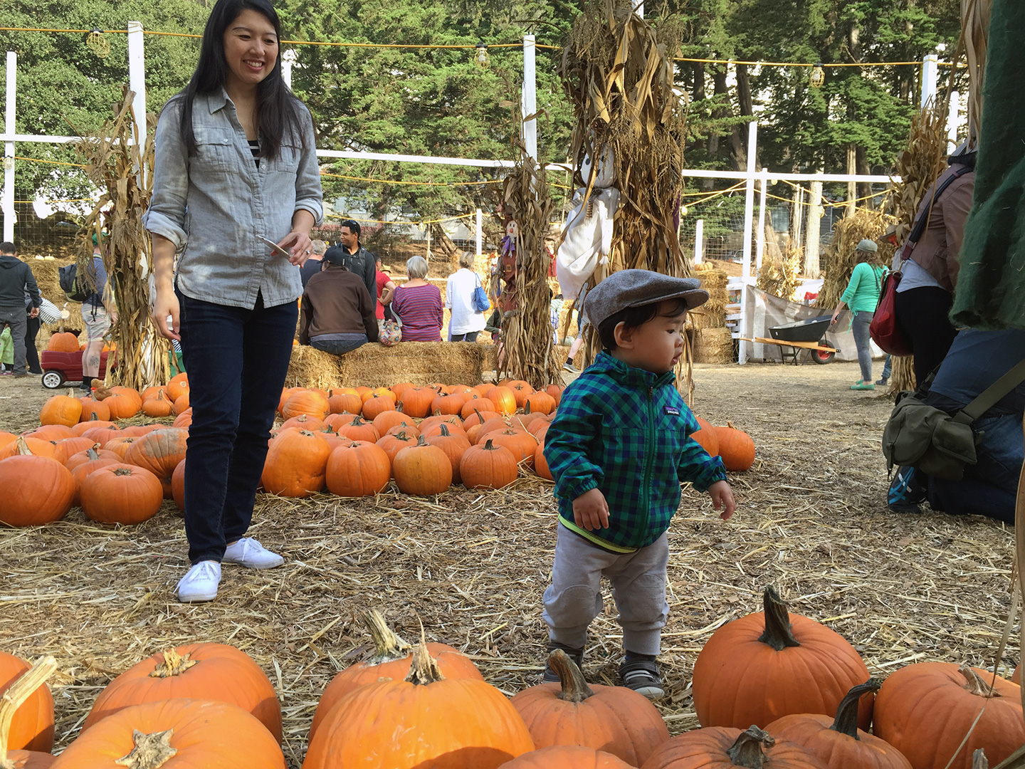 Hmmm... which one do I want?